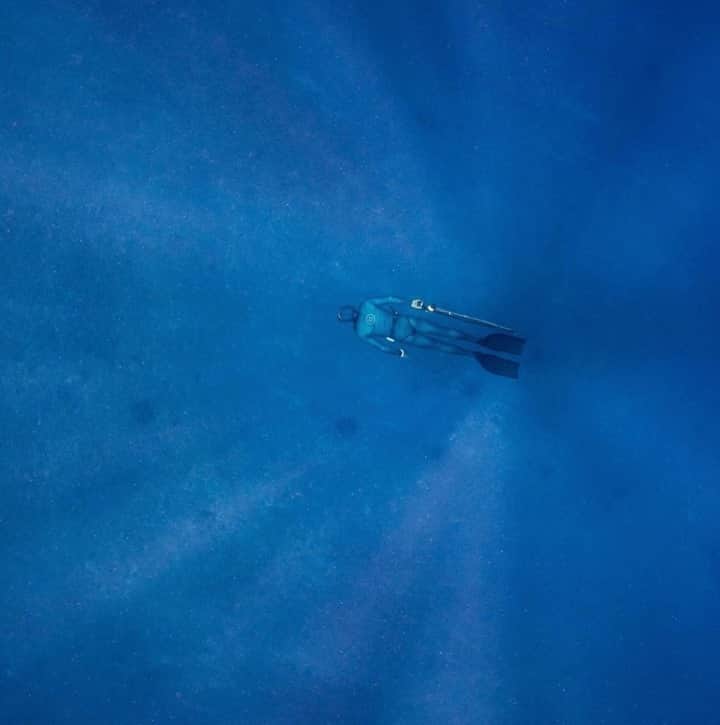 Costa Sunglassesのインスタグラム：「"Spearfishing is 90% observation and meditation. This photo is probably more of an accurate representation of a dive day for me than one with a fish." @healeywaterops 📷: @instaclamfunk #SeeWhatsOutThere #BornOnTheWater」
