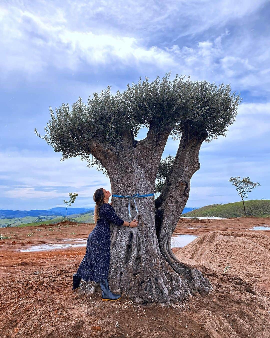 Giovanna Ewbankさんのインスタグラム写真 - (Giovanna EwbankInstagram)「Minha Olívia, 300 anos de pura beleza, nosso presente de Natal 🌎🪴💙 @ranchodmontanha @brunogagliasso」12月31日 7時42分 - gioewbank