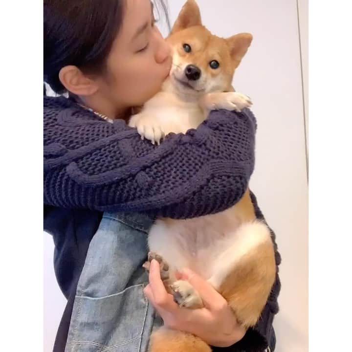 VANRIのインスタグラム：「🐁🔜🐄 " Best wishes for the New Year! " ． 今年も１年応援してくださった皆々様！ そう！あなたです！ あなたなんです！ 心から感謝の気持ちと愛を込めて… ． 「良いお年をお迎えください❤️」 ． #言いたいことがありすぎる時はシンプルに」