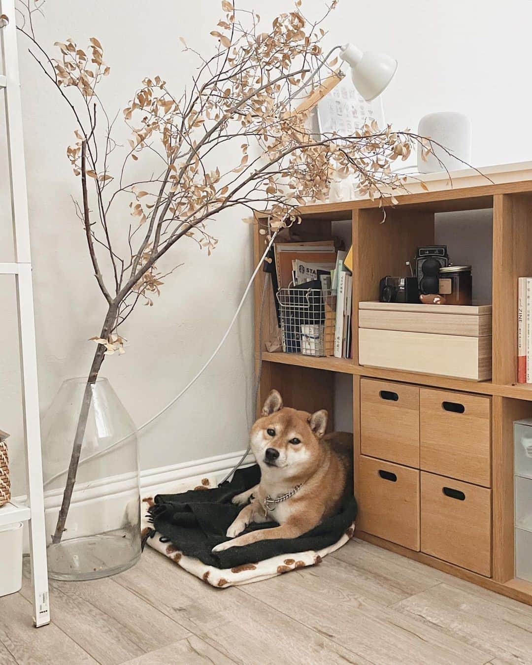 MUJI USAのインスタグラム