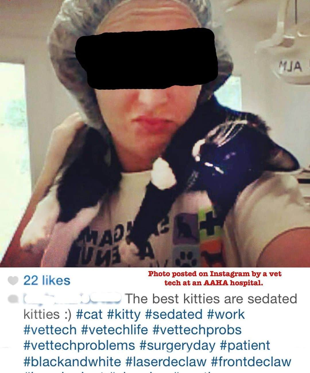 City the Kittyさんのインスタグラム写真 - (City the KittyInstagram)「The American Animal Hospital Association (AAHA) sicced their lawyers on us and forced us to take down a lot of their declawing info from our stories. 😾😾😾🐾 Yep, the folks who allow this barbaric cat cruelty in their AAHA accredited animal hospitals, like the one in this photo, are trying to scare, intimidate, and bully us and don't like that we are shining light on the awful truth. 🐾😿 THINK ABOUT IT.  🤔  Instead of using their money and time to come up with a plan on how to stop allowing their accredited hospitals to declaw cat$, AAHA IS COMING AFTER a CAT and his mom who are working every single day to try to END this barbaric cat cruelty! #WTF  🙀😾😾😾😾😾🐾 We have ONE more day of our fundraiser and just need around 70 people to donate $2 to our legal defense fundraiser, City the Kitty vs AAHA to fight this injustice. Here's our fundraiser. https://www.facebook.com/donate/671686130209508/ You can also donate at http://www.citythekitty.org and put City vs AAHA in the subject line. 🙏🏻❤️ IF AAHA WINS, THEN ALL THE INNOCENT CATS LOSE!😿💔  Thank you for your support. Always take the high road and educate. #aahaaccredited #AAHA #declaw #declawing is #animalcruelty #veterinarian #RightOverWrong #VoiceForTheVoiceless #stopdeclawing」12月31日 8時07分 - citythekitty