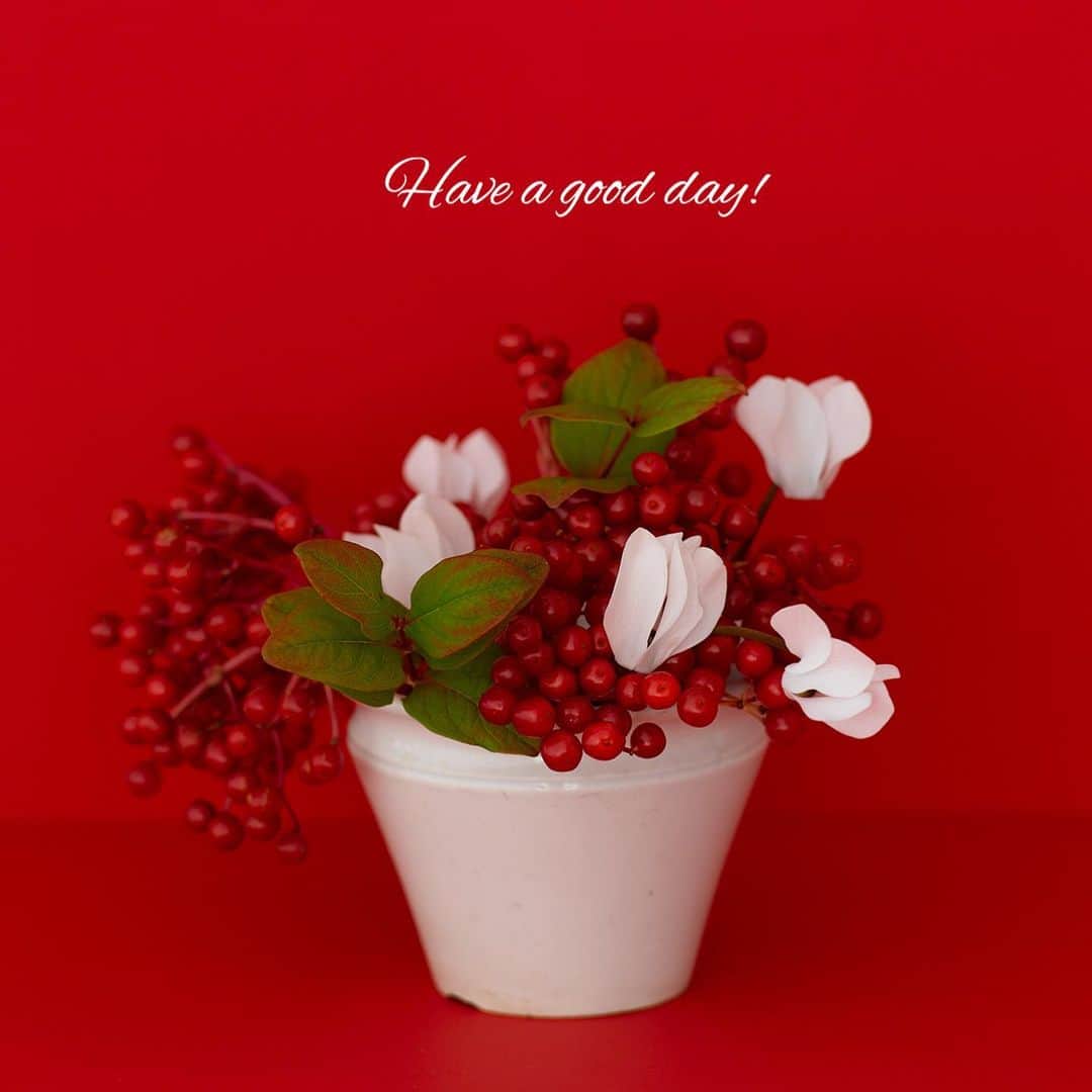 雑誌『花時間』さんのインスタグラム写真 - (雑誌『花時間』Instagram)「おはようございます。とうとう大晦日ですね。﻿ ﻿ 今日の投稿は、 皆さまへの「ありがとう」のお花です。﻿ ﻿ 赤い実と白いシクラメンの小さなアレンジ。﻿ ﻿ 今年も、たくさんの皆さまと お花についておしゃべりできた 楽しい一年でした。﻿ ﻿ 心より感謝申し上げます。﻿ ﻿ 大寒波で雪に見舞われている 地方の方もいらっしゃると思います。﻿ ﻿ 風邪に気をつけて、 来たる年をわくわくしながら待ちましょうね🌸﻿ ﻿ では、2020年最後の一日も元気smile😊😊😊で頑張りましょう！  by ピーターパン﻿ ﻿ 花 @mikakomidorinoibasho 写真 @shigekikuribayashi   #flowers #flowerslovers #flowerstagram #flowerarrangement  #花時間 #花時間2020 #花好き #花藝 #花好きな人と繋がりたい #花が好きな人と繋がりたい #花のある生活 #花のある暮らし #花を飾る #花を飾る生活  #お正月の準備 #お正月のお花 #お正月の花 #赤い実  #シクラメン #ビタミンf #花屋さんへ行こう」12月31日 8時18分 - hanajikan_magazine