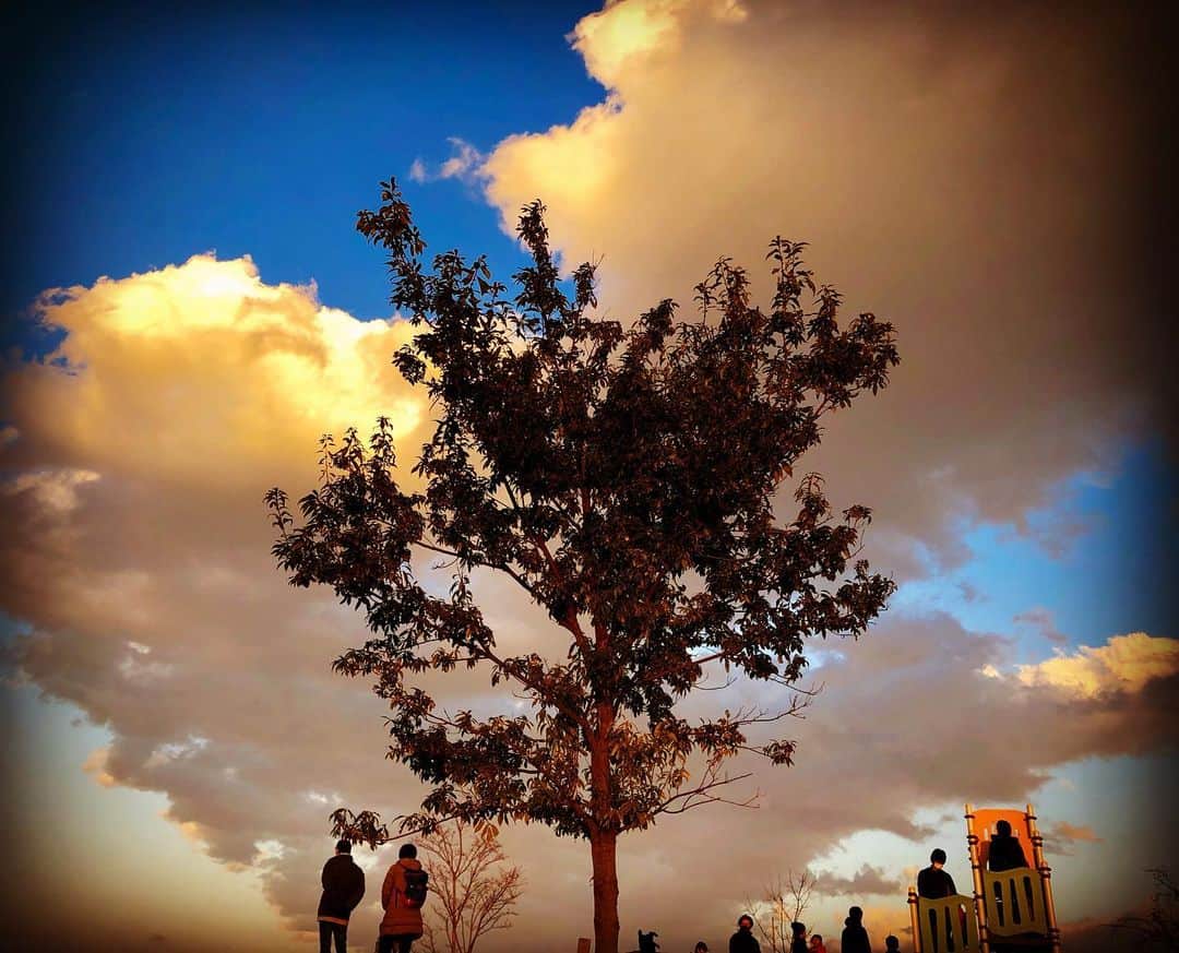 羽原信義さんのインスタグラム写真 - (羽原信義Instagram)「年の瀬の日没間近。 雲の下半分が地球の影になって、高い部分だけに光が当たっています。 ふと見上げた空があまりにも美しかったので、あわてて近くの公園に出掛けて撮りました。」12月31日 8時26分 - nobuyoshi_habara