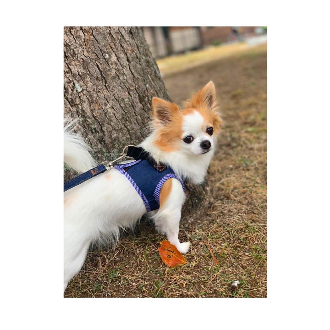 篠原まりあのインスタグラム：「__________** . 今年も1年間 大変お世話になりました . 来年もよろしくお願いします 🥰 . 皆様 良いお年をお迎えください 🤞🏼.」