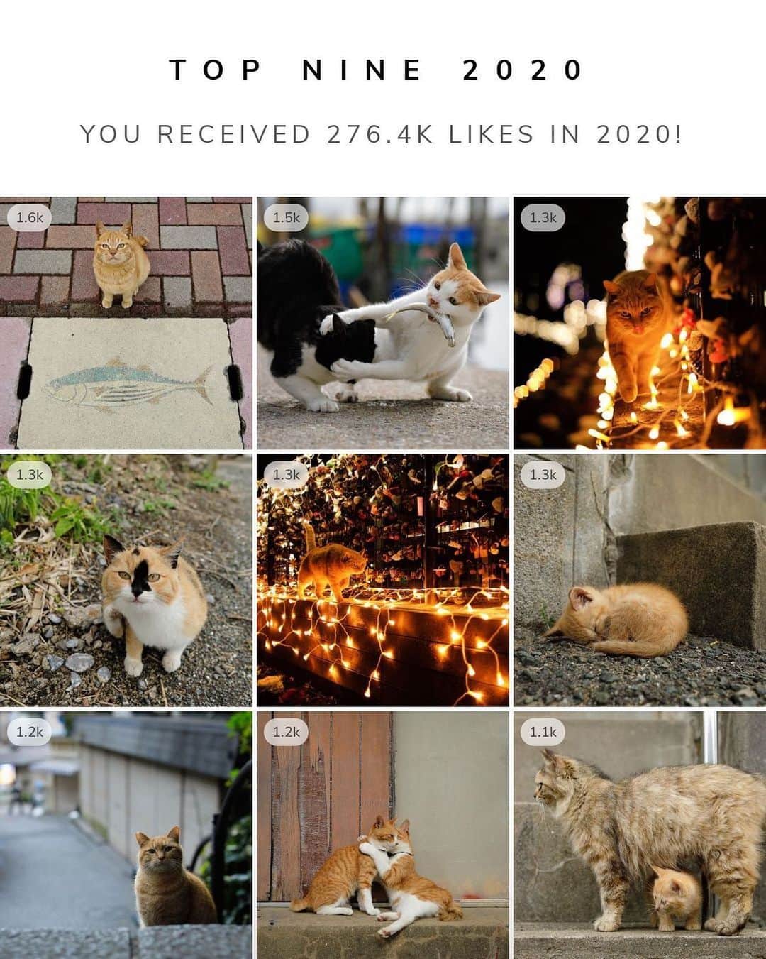 ををつかのインスタグラム：「今年一年、たくさんの「いいね！」とコメントをありがとうございました。みなさま、どうぞ良いお年をお迎えください。 Thank you for a lot of likes and comments. I wish you a Happy New Year!」
