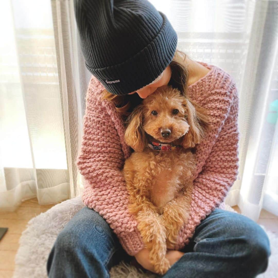 萩田帆風さんのインスタグラム写真 - (萩田帆風Instagram)「. ひゅうがさんやっぱりお利口です🐶 2枚目のはなびは発射3秒前。」12月31日 9時35分 - honchandaayo