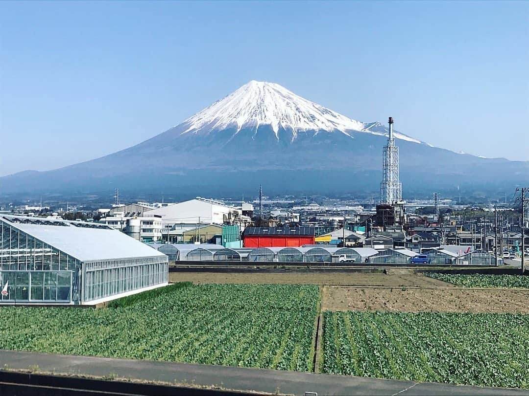 鳥越佳那さんのインスタグラム写真 - (鳥越佳那Instagram)「今年最後のお仕事は ナレーションでした🎤  31日(木)午後2:25〜 「フカボリ静岡2020」  新型コロナに揺れた今年 静岡県内で何が起きていたのか振り返る報道特番です。  ずんの飯尾和樹さん 熊谷真実さんをお迎えして 静岡をフカボリしたこの番組に  ほんのちょっと！ 携わらせていただきました🙇‍♀️  写真のモニターに写っているのは ホワイトタイガーの赤ちゃん🐯 ほっこりする話題もありました☺️  いろいろあった2020年を 番組をみながら振り返ってみてはいかがでしょうか。  私は 写真フォルダを振り返って  個人的 【Best of 富士山2020】 を決めました🗻✨✨(笑)  ひゃ〜〜 1年あっという間😳💦  みなさん、 良いお年を お迎えください🍊🎍🗻☀️」12月31日 10時13分 - kana_torigoe