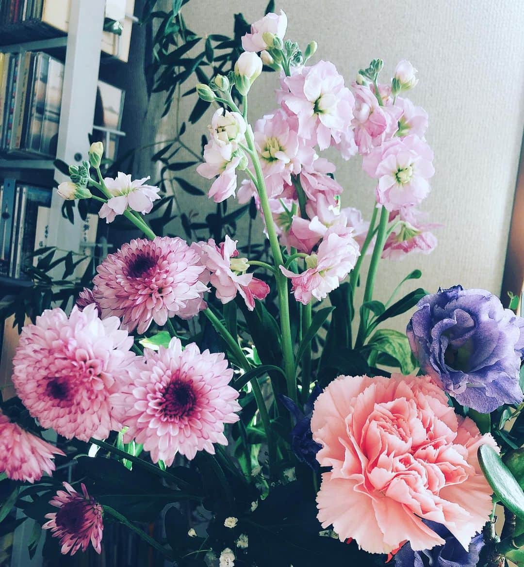 阿部洋子さんのインスタグラム写真 - (阿部洋子Instagram)「#今日のお花  #flowers」12月31日 10時20分 - hirocoring