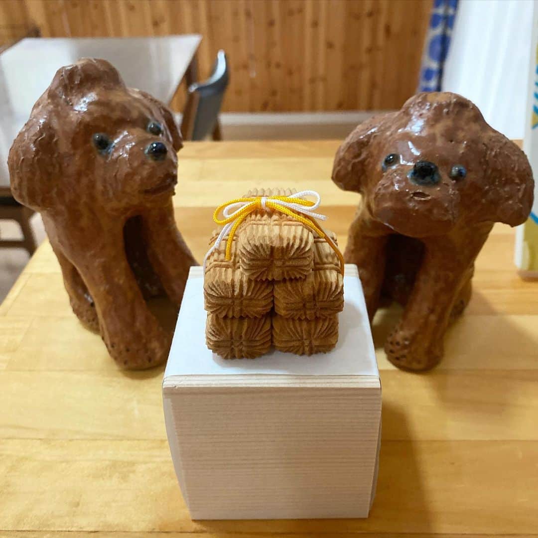 松尾たいこのインスタグラム