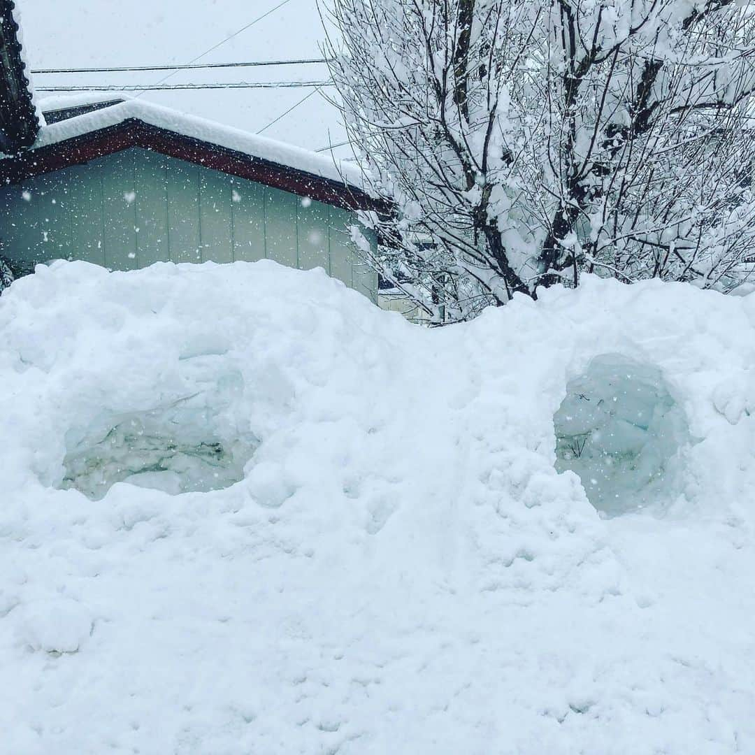 滝波宏文さんのインスタグラム写真 - (滝波宏文Instagram)「降る雪や つわものども(子供達)が 夢の跡  #かまくら #ふたつ  #雪ん子は #元気いっぱい #でした  #福井県 #大野市 #fukui」12月31日 16時03分 - hirofumitakinami