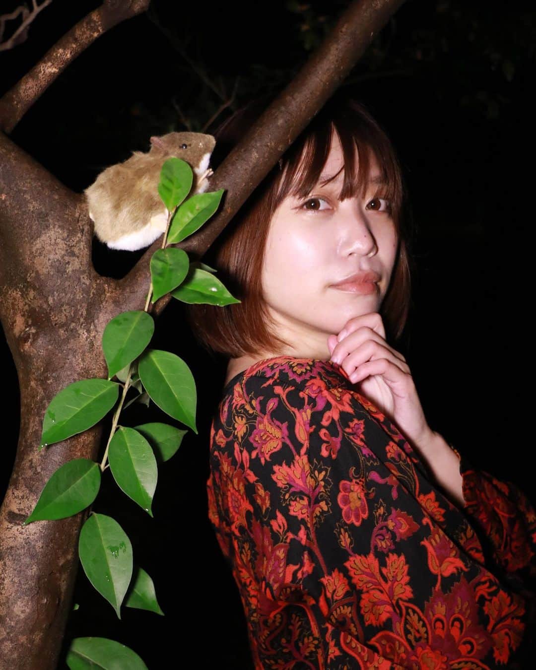 辻詩音のインスタグラム：「今年がそれぞれにとって最低でも最高でも、今日この瞬間生きてる私たちは間違いなくスタンディングオベーションだし、ノーベル平和賞だよ👏 みんな、おつかれさま2020。 そして、いつもありがとう。 私がこんな状況でも、エンタメを続けようと思えたのは変わらずみんなが応援してくれたり、配信を観てくれたおかげです！  写真はハムスターとコンビを組んだ時の写真です。 (おうちでNetflixを観る流れで、辻詩音の自作ドラマ「サンタ秘書とハムタビ」もYouTubeでぜひ！🐹)  #辻詩音 #tsujishion #music #singersongwriter #2020」