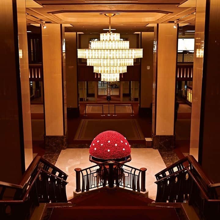フィガロジャポンさんのインスタグラム写真 - (フィガロジャポンInstagram)「【名門ホテルの魅力は、細部にこそ宿る。】⠀ 今年、開業130周年を迎えた帝国ホテル 東京は、数々の”日本初”“ホテル初”を成し遂げてきた。ゲストに対するこまやかな心づくしのサービスは、日本におけるおもてなしの王道をいく。例えば、館内で用いられている花は、ほぼ生花。装花から客室のバスルームに置かれている一輪の赤いバラまで、花の最高に美しい瞬間が、訪れるゲストを出迎えてくれる。⠀ photo : NORIKO YAMAGUCHI, texte : @michiyo_333⠀ #figarojapon #フィガロジャポン #フィガロ2月号 #旅する気分で東京のホテル。 #ホテル #tokyo #東京 #帝国ホテル東京」12月31日 12時00分 - madamefigarojapon