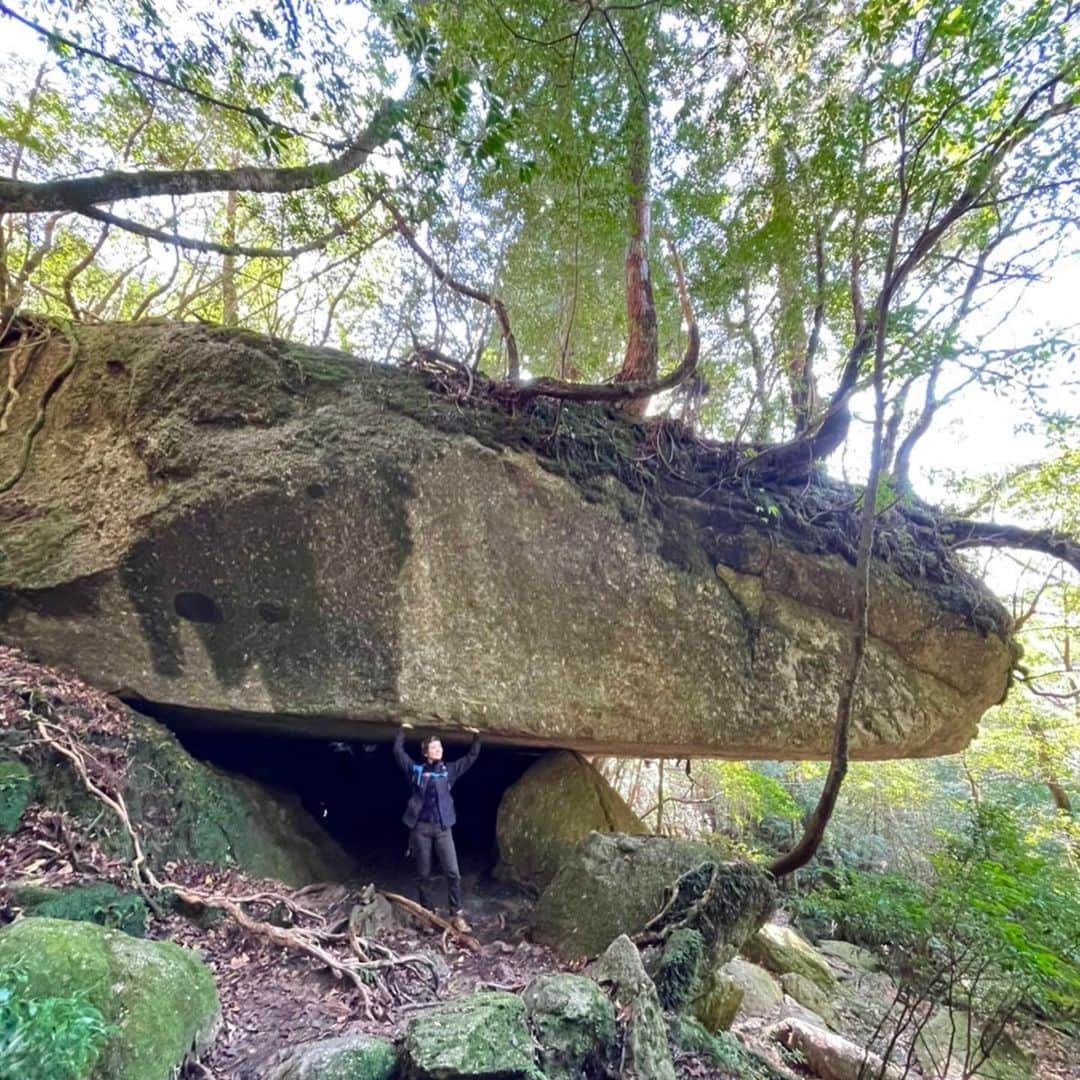 壱城あずささんのインスタグラム写真 - (壱城あずさInstagram)「.﻿ 【白谷雲水峡コース】﻿ 白谷川雲水峡のトレッキングコースの一部にある、「苔むす森」と呼ばれる森の辺りは、宮崎駿監督が何度も足を運び、映画『もののけ姫』の森のイメージをつくりあげた場所です。﻿ もののけ姫のモロー族の住む岩屋のモデルになった『辻野岩屋』もあり﻿ 「お前にサンは救えるか」﻿ とちゃんと台詞も言ってきました 笑﻿ ﻿ 雲一つない「太鼓岩」からの眺めは絶景で、天気が悪い屋久島でこんな景色が見られるのは奇跡だとガイドさんに言われました☀️﻿ ﻿ 本当にハードなトレッキングで途中から膝バンドをして登山ストックを使わないと足が前に進まない状態でした💦﻿ それも含めて最高にいい思い出です😂﻿ ﻿ #屋久島﻿ #白谷川雲水峡﻿ #苔むす森﻿ #太鼓岩﻿ #もののけ姫﻿ #壱城あずさ﻿ #しーらん」12月31日 12時12分 - shiiran1012