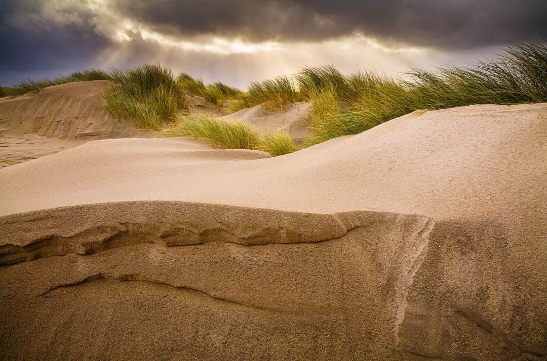 ナショナルジオグラフィックさんのインスタグラム写真 - (ナショナルジオグラフィックInstagram)「Photo @jasperdoest / Newly formed dunes at the Sand Motor, an artificial, peninsula-like sandbank constructed off the coast of the Netherlands. With nearly a quarter of the country below sea level and another half sitting less than a meter (yard) above, its very existence is under constant attack. Ocean currents, wind, and waves were given free rein to spread the sand along the Delfland coast to help protect the Netherlands against rising sea levels. The Sand Motor is part of an innovative coastal maintenance effort. Since its construction, dozens of researchers from various universities and institutions have been following the development of the Sand Motor. Follow @jasperdoest to learn more about the human-nature connection. #zandmotor #sandmotor #coast #dunes #netherlands」12月31日 12時34分 - natgeo