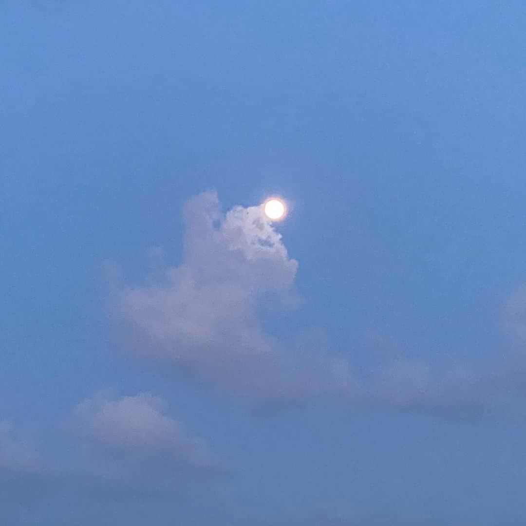 サルマ・ハエックさんのインスタグラム写真 - (サルマ・ハエックInstagram)「I spent the night looking at the last full moon 🌝 of 2020 listening to Armando Manzanero songs, thinking of all the things this year thought me and all the lives it took. Nothing inspires me more than music and nature to be grateful and always try to be better.  Pase la noche viendo la última luna 🌝 llena del 2020, escuchando canciones de Armando Manzanero y pensando en todo lo que este año me enseño y en toda la gente que se llevo. Nasa me inspira más que la naturaleza y la música, para estar siempre agradecida y tratar de ser mejor. #armandomanzanero #moon」12月31日 12時31分 - salmahayek