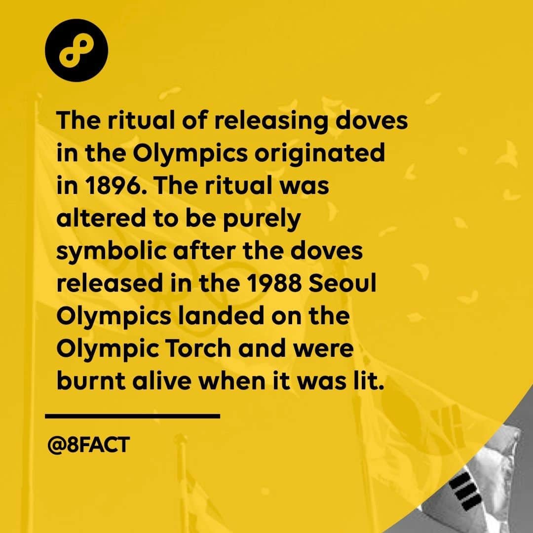 のインスタグラム：「Should’ve released the doves *after* lighting the torch.」