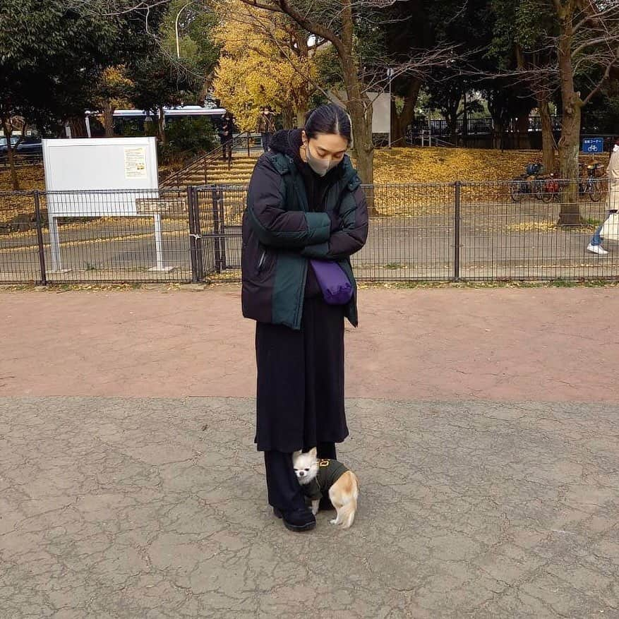 安宅葉奈さんのインスタグラム写真 - (安宅葉奈Instagram)「#ドッグラン 🐕💓﻿ ﻿ 年内最後の﻿ ドッグランへ☺️﻿ ﻿ この日も﻿ いつものように﻿ ﻿ 私の足元に避難🤣❣️﻿ ﻿ ﻿ #こわがり #チワワ #チワワのいる暮らし」12月31日 13時17分 - atakahana