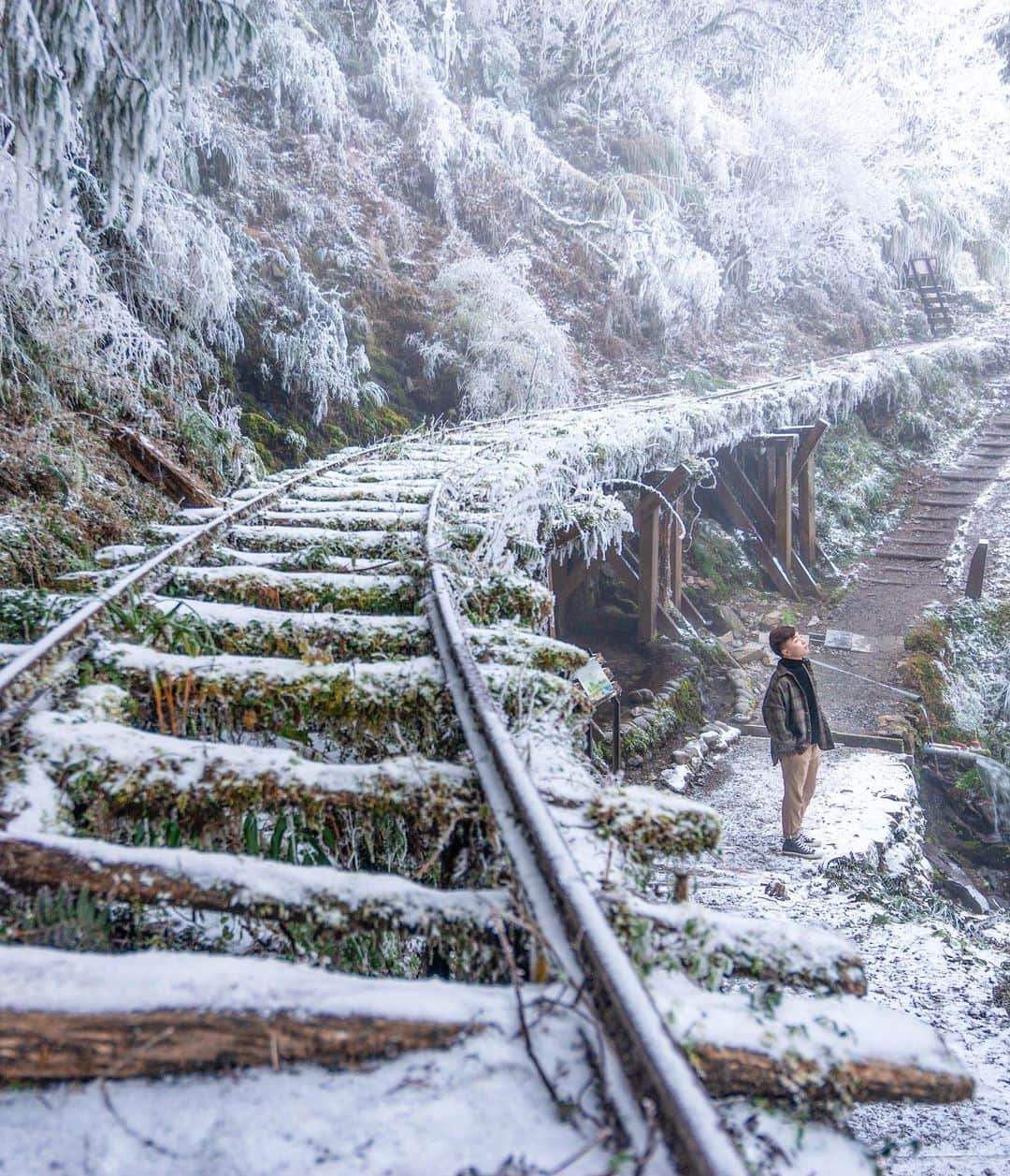 樂さんのインスタグラム写真 - (樂Instagram)「宜蘭太平山。見晴古道❄️❄️❄️❄️ 2020最後一天真的看到太平山的雪景了🥺 昨天半夜從台北殺來，天亮後開始往山上開，就這樣進入銀白世界❄️ 太平山的雪景真的很美，有非常多角度可以拍❤️ 目前山上屬於霧淞，後天回溫就會開始融化！ 另外園區下午兩點後開始管制，隔天早上視路況開放通行，想要來賞雪的要特別注意嘍😀 Tag你想一起賞雪的人吧❄️」12月31日 13時46分 - ygt1016