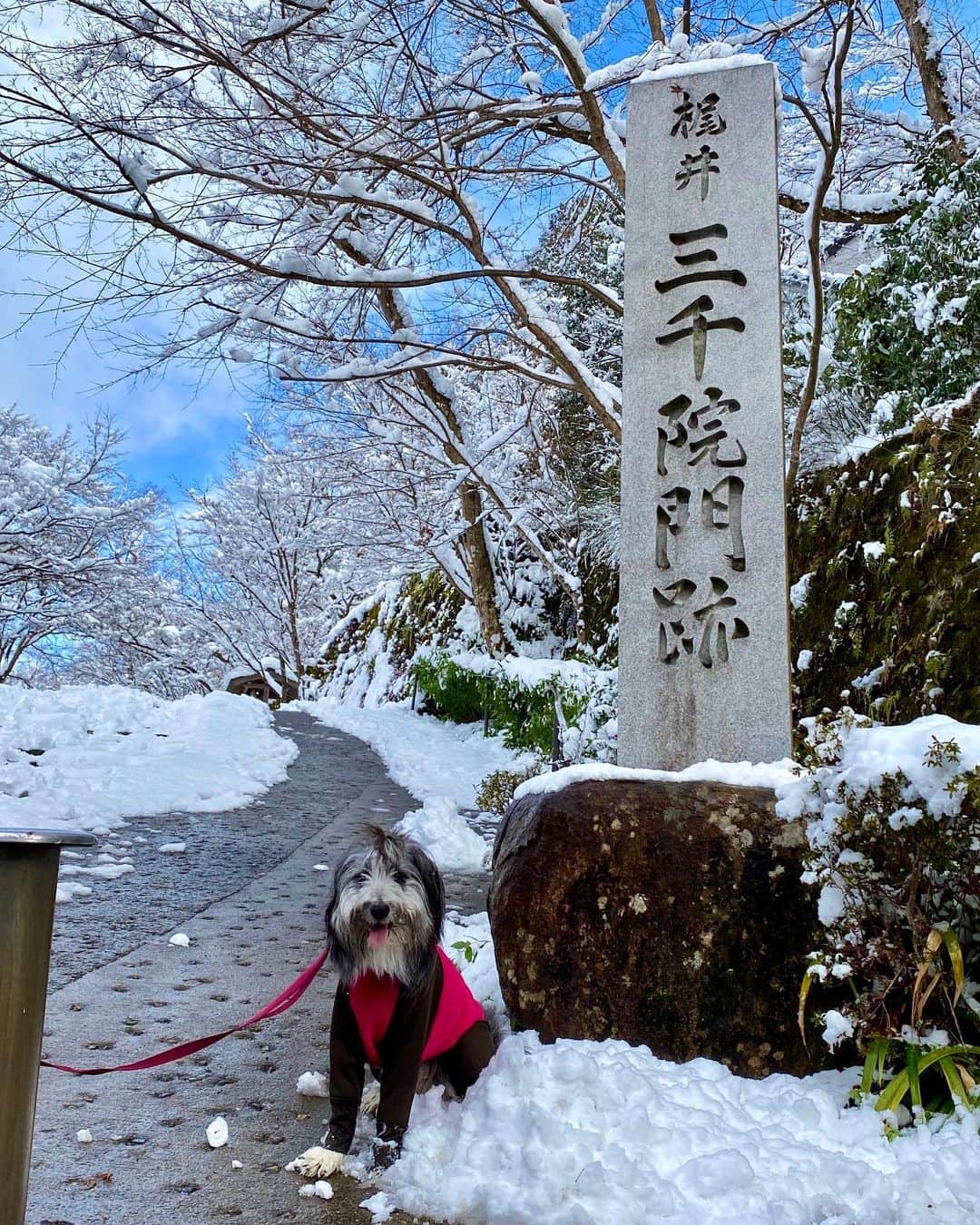 kei515yuのグルメインスタ