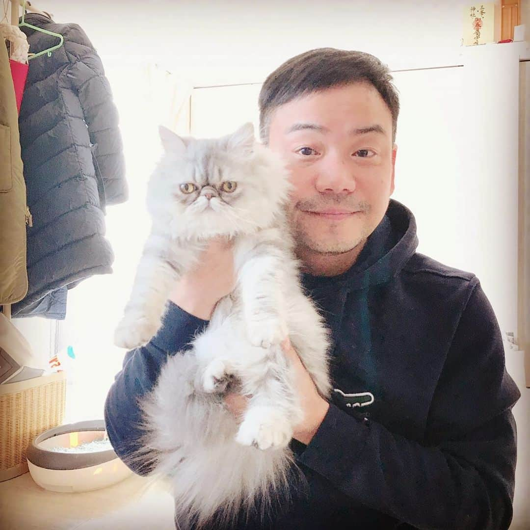 山本栄治さんのインスタグラム写真 - (山本栄治Instagram)「２０２０年が間もなく終わろうとしてます。  今年は年男（ねずみ）と言う事で  我が家に猫が来てくれました😬  コロナ禍で大変な一年でした💦  まだまだ収束は見えて無く  来年も大変な年になると思いますが  皆様にとって良い年となります様に‼️‼️‼️‼️  そして来年も宜しくお願い致します‼️‼️  ２０２０年12月31日  山本英治」12月31日 13時46分 - eiji7115