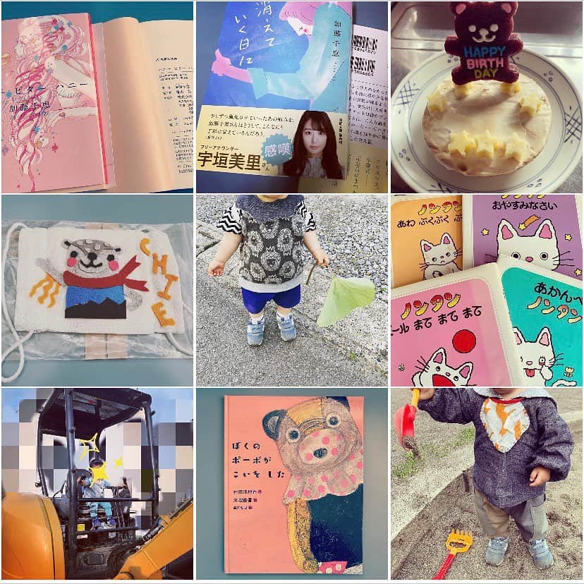 加藤千恵のインスタグラム：「2020ベストナイン写真たち。意外なのも多い。 今年も新刊刊行できたり（『この街でわたしたちは』幻冬舎文庫）、文庫化できたり（『消えていく日に』徳間文庫）、それなりにお仕事できてよかったです。来年はもっと頑張りたいです。 そして12月に実家の犬が死んでしまったことを、今年いっぱいどころか、しばらく引きずりそうな勢いではありますが、引きずりつつも、楽しく元気に暮らしていきたいなと思っています。皆さま、よいお年を。」
