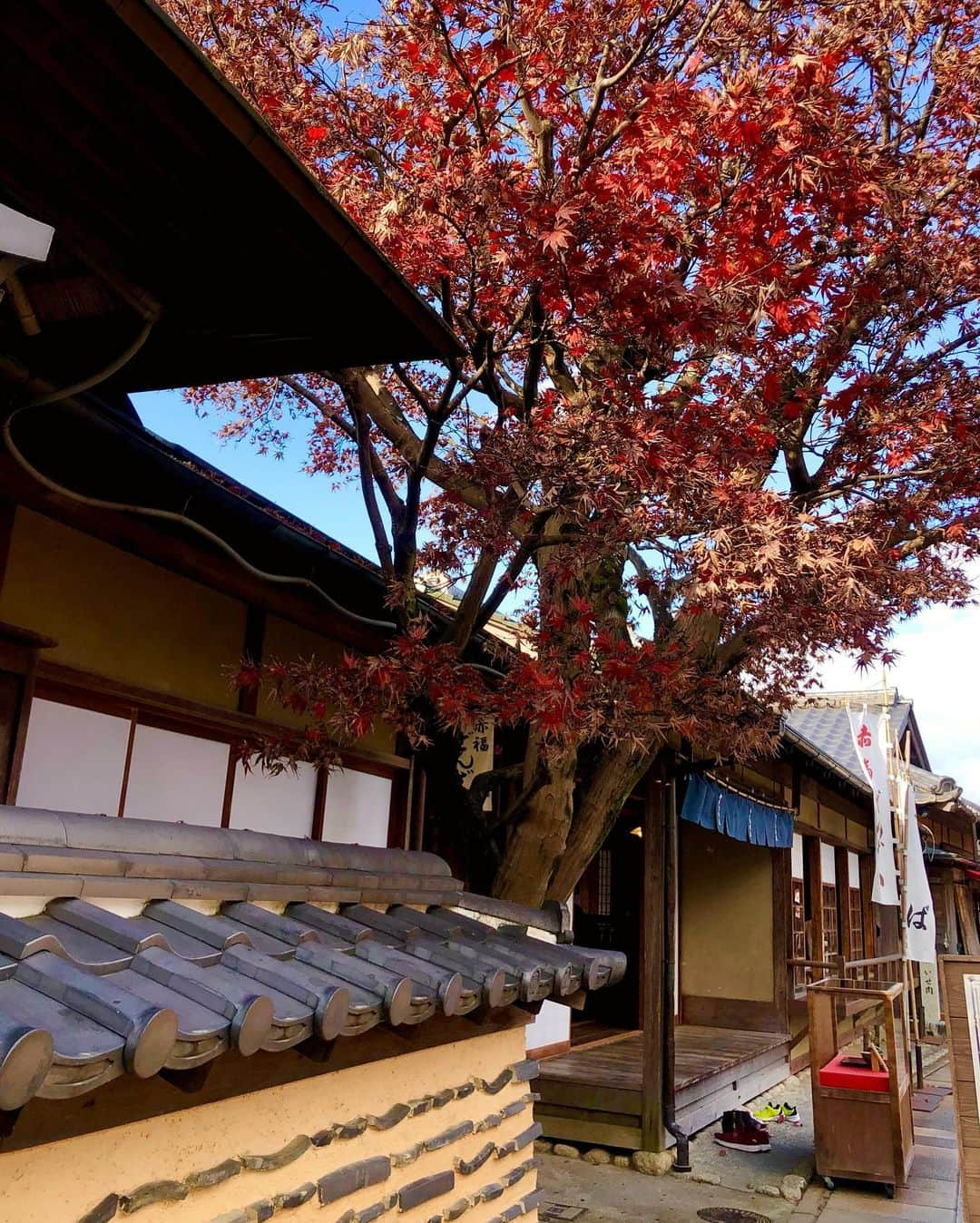 Manaさんのインスタグラム写真 - (ManaInstagram)「🐾⛩🎍 伊勢神宮へ幸先詣に行ってきました💕 そのあとおかげ横丁を散策♪ . 来年の抱負をしっかり宣誓、お詣りして 美味しいお団子を食べてきました🍡 . . コーディネートは黒のファージャケットに タイトスカートとキャスケット😊 全身はまた後日載せますね✨ . ポイントに @louisvuitton の おnewのハンドバッグ🐶👜 . . 3枚目のマスクは @asagao.beauty さんのです💓 柔らかくて肌荒れしないしフリルが可愛すぎる🥺 . . Jacket：#rienda Bag：#louisvuitton Hat：#ca4la . . 今日で2020年も終わりですね🌸 年内ギリギリまで投稿するのでお楽しみに(∗ ˊᴗˋ ∗) . . . #伊勢神宮 #伊勢神宮内宮 #伊勢神宮おかげ横丁 #おかげ横丁 #お伊勢さん #おかげ横丁食べ歩き #食べ歩き #初詣 #幸先詣 #あったかコーデ #冬コーデ #ジャケットコーデ #ブラックコーデ #モノトーンコーデ #ファーコート #ミニスカート #カジュアルコーデ #きれいめカジュアル #きれいめコーデ  #良いお年を #まだまだ続く ♡」12月31日 14時12分 - mana.tcy