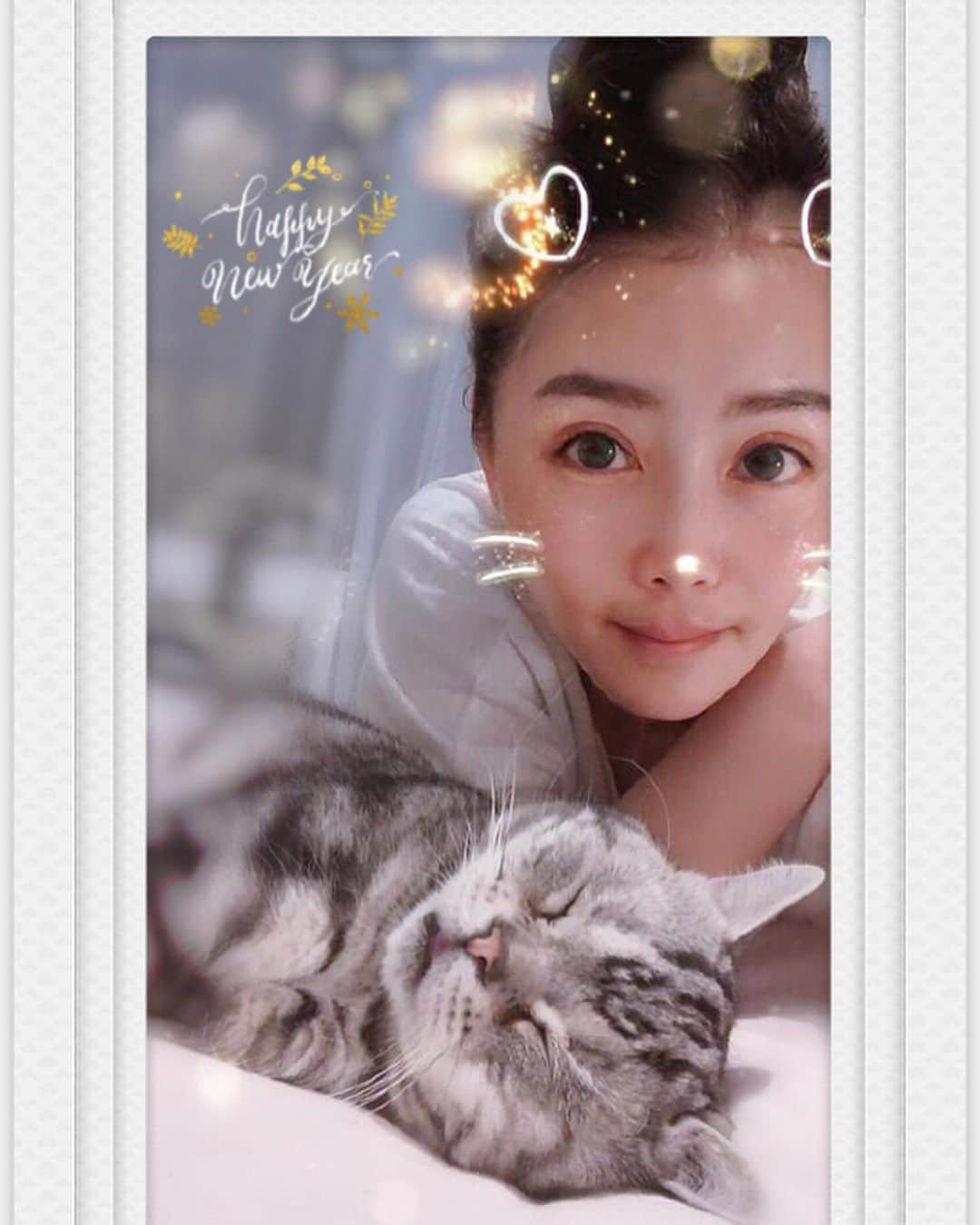 ルフのインスタグラム：「#luhu:”i wish 2021 will be much better than this year,2020 was so horrible! happy new year 🎊🎈” - - #cats #sadcat #happynewyear #newyeareve #2021」