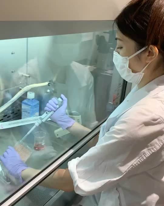 櫻井麻美のインスタグラム：「2020年は仕事と実験の毎日で、大晦日も実験でした🧪 ・ この一年で企画した新しい商品がデビューして、細胞実験にもようやく慣れてきました。来年は、なんとしても結果を出さないと…🥺 ・ 世界中が大変な年でしたが、来年は素敵な年になりますように。 ・ 皆様良いお年をお迎えください✨✨ ・ ・ #大晦日」