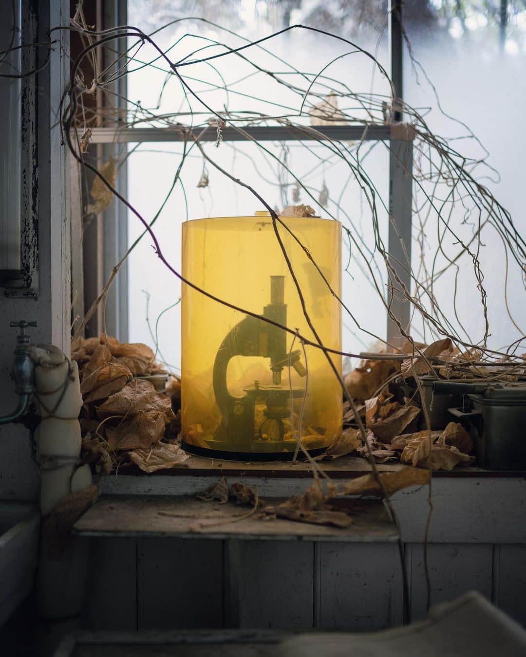 啝 （わ）のインスタグラム：「I believe that 2021 will be a year full of hope!  𓆲 𓆲 𓆲 #abandonedafterdark #urbex_supreme #desertedplaces #abandon_seekers_ #urbex_regards #welcometwoneverland #kings_abandoned #abandonedcentral #the_urbex_institute #renegade_abandoned #rsa_preciousjunk #glitz_n_grime #gotrespassing #savethedecay #bandorebelz #abandoned_addiction #abandoned #urbex #global_urbex #urbex_utopia #abandonig #allabandoned #urbex_kings #sombrexplore #grime_lords #urbxtreme #all_is_abandoned #discarded_butnot_forgotten #廃墟 #made_in_decay」