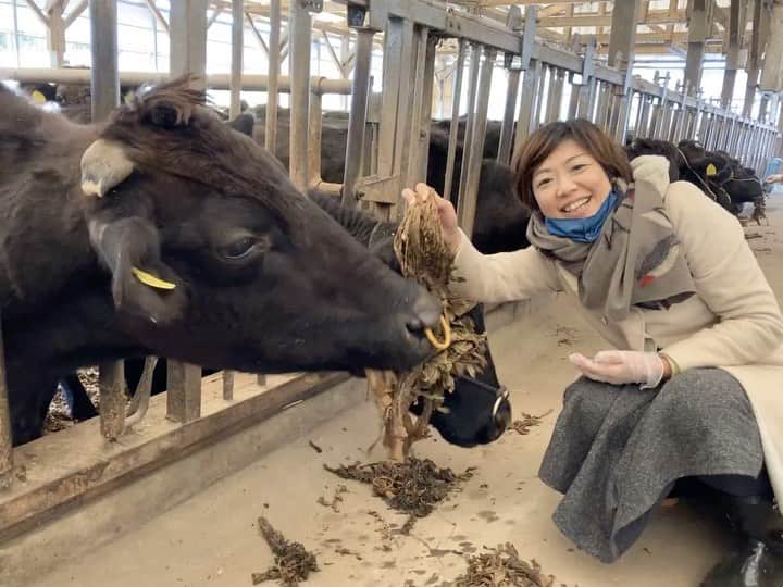 小谷あゆみのインスタグラム：「あけましておめでとう2021 うし年〜 これは先週〜宮崎県某所にて わたしは東京世田谷で村上ラジオを聴きながら新しい夜明け待ってます 2021年 令和3年 あなたがたくさん笑える年に」