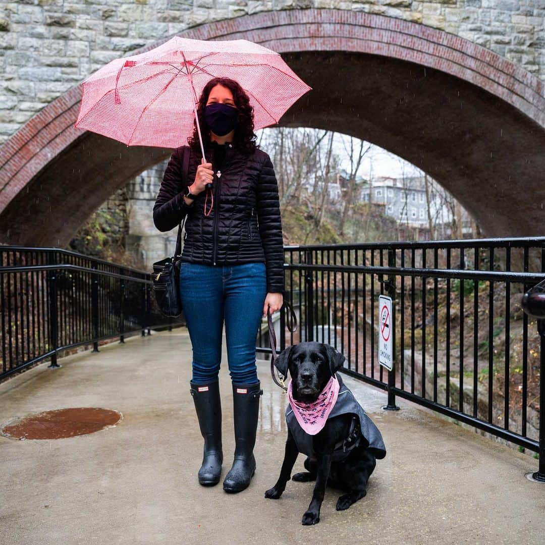 The Dogistさんのインスタグラム写真 - (The DogistInstagram)「DONATE TODAY: Regal, Labrador Retriever (5 y/o), Ossining, NY • A service dog from @guidingeyes • “She’s my second guide dog and she’s small but mighty. I grew up like a normal kid and lost the bulk of my vision in my twenties. I now have ‘light perception’ – I can tell that it’s light out. I had a cane and then got my first guide dog when I was 29. The cane is an obstacle finder, whereas a dog is an obstacle avoider. A dog can seamlessly navigate around things like trash cans. She’ll stop and show me there’s a change in elevation, like stairs. She’ll do a ‘close’ if we’re on public transportation or in an auditorium and go between my legs. We’re very in tune and can navigate anything from NYC to a dirt path. Last year we went to the Grand Canyon and ran on a beach. She’s also the best companion ever. She’s silly when she can be and serious when she needs to be. I can’t even explain how amazing it is to walk with a dog and get where you need to be. She used to guide me through the subway and find an empty seat and slide right between my legs. She’s picked up suburban living, no problem.”  Guiding Eyes for the Blind is a top-rated nonprofit that raises, trains and matches guide dogs completely free of charge with the people who need them most. Donate today and your gift will be matched – dollar-for-dollar. Link in bio to donate to this amazing organization!」1月1日 0時32分 - thedogist