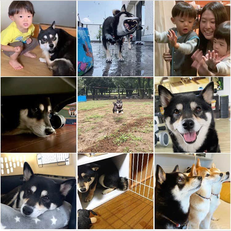 vo_coのインスタグラム：「#bestnine2020  この先の人生でずーっと記憶に残る1年になるんだろうな… 2021年は少しでも以前のような日常が戻ってきますように🙏🏻」