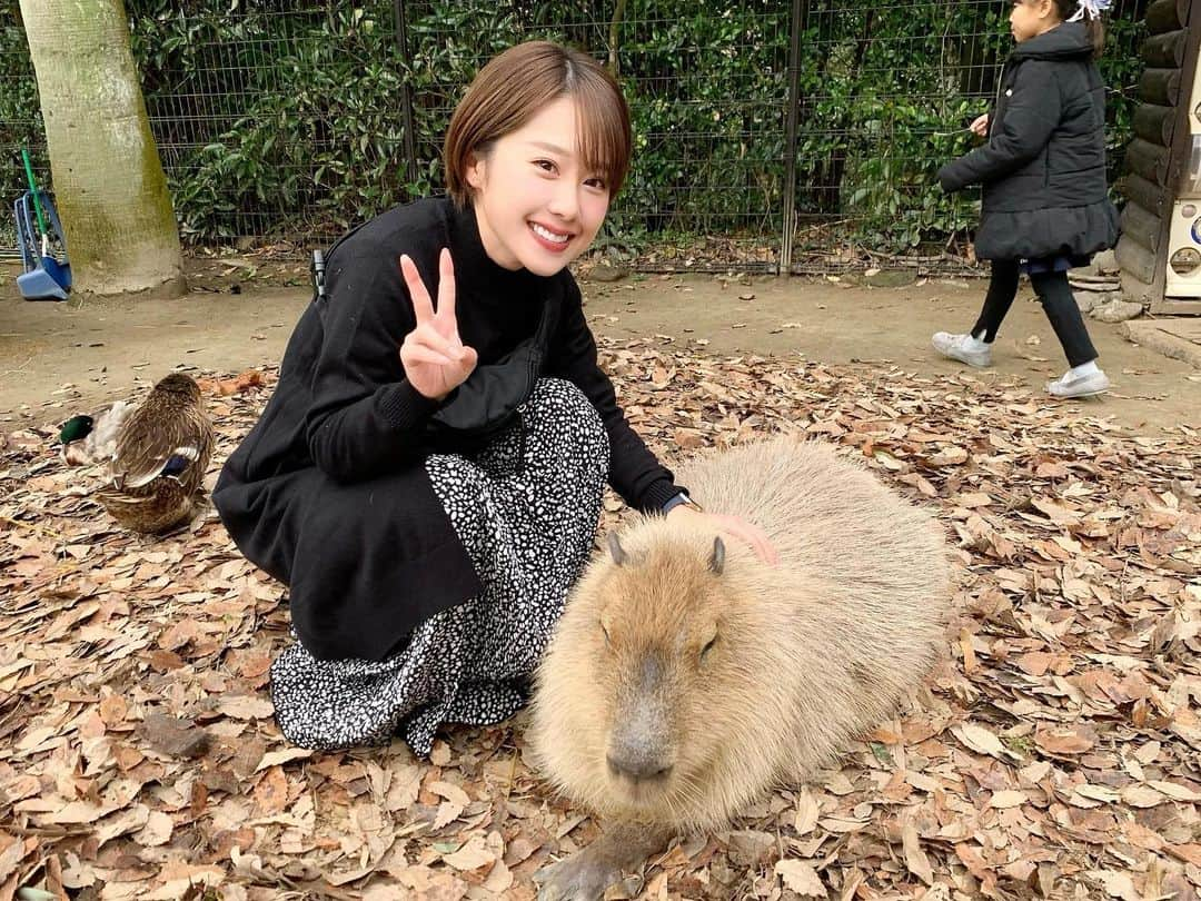 峰麻美のインスタグラム