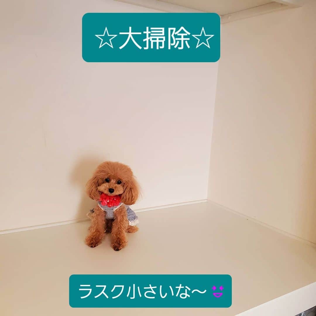 聖澤諒のインスタグラム：「クローゼットの片付け🎵」