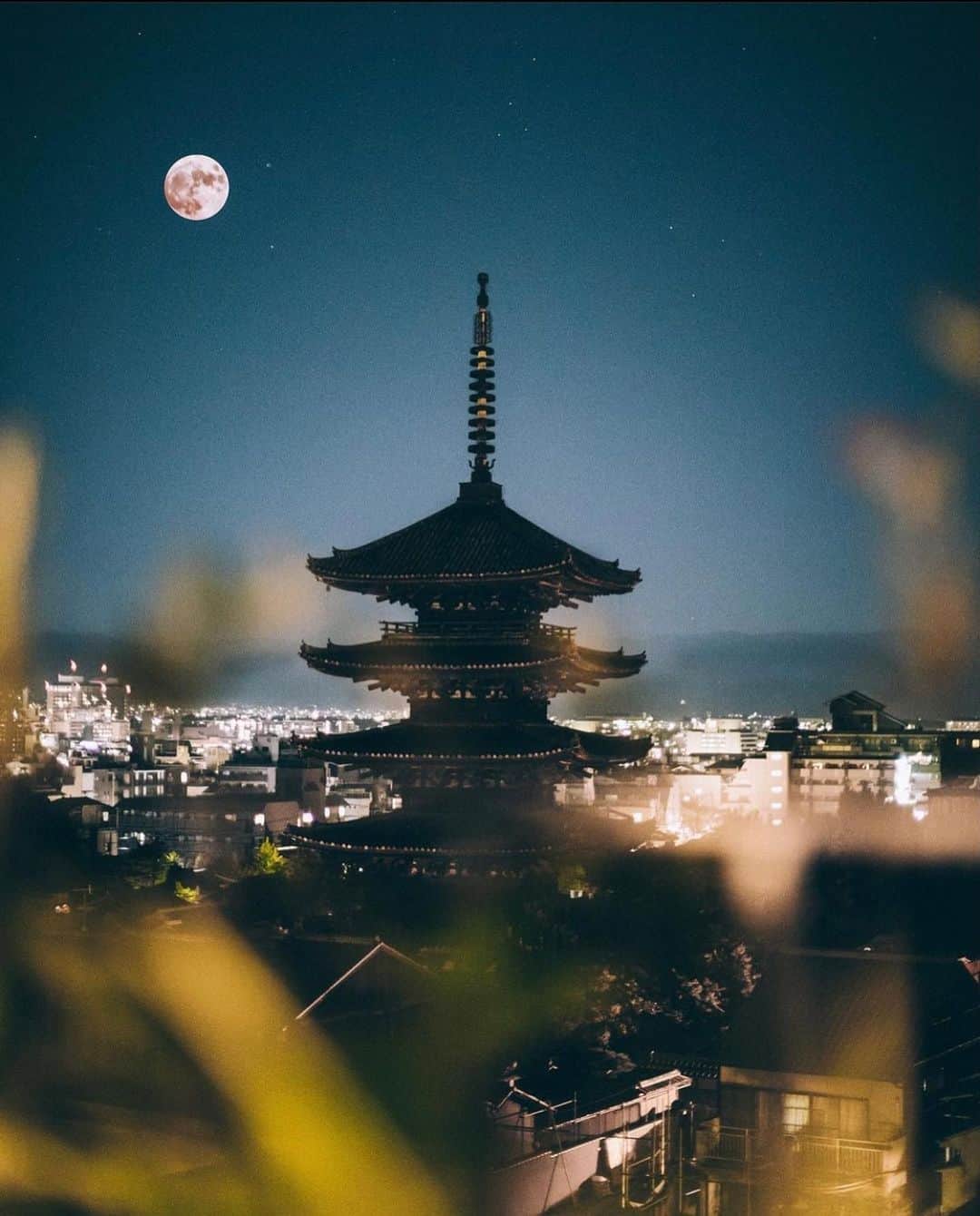 山中海輝さんのインスタグラム写真 - (山中海輝Instagram)「#2020  2020年で最も気に入っている10枚のショット。」12月31日 16時49分 - kaikiyamanaka