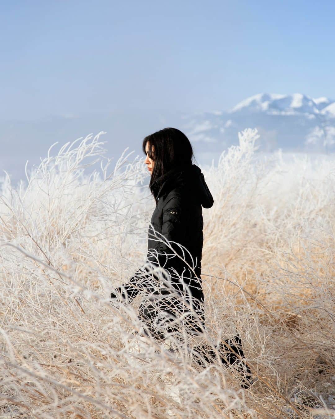 タトラスのインスタグラム：「"CHASE THE LIGHT" Raven (@theravenlyn) in TATRAS's iconic Politeama lady's down jacket during her calm peaceful stroll in the beautiful landscape. Outside of the chaotic city that consumes them, the cinematic and candid campaign captures the duo in Jackson Hole, Wyoming.    #Tatras #Tatrasofficial  #Tatraspeople  #downjacket」