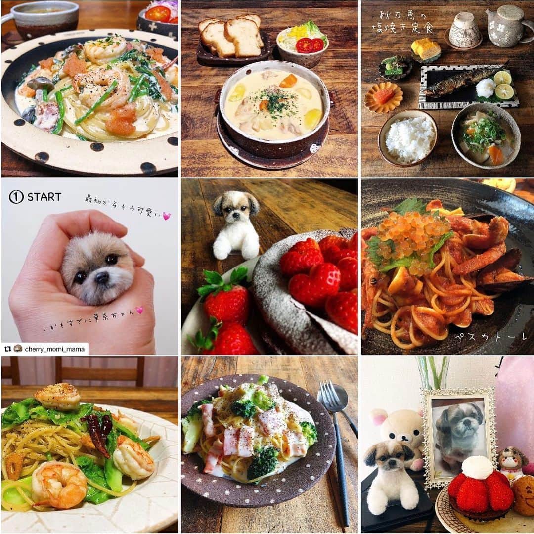 chaako ちゃあこのインスタグラム：「2020.12.31 * * 今年も色々ありました。 華奈ちゃんが居なくなってスタートした2020年。 * まさかのコロナで大変だった1年。 * そしてまさかまさかの旦那の福岡への転勤。 まだまだ先と思ってた転勤。 しかも転勤先は福岡。 * まだ数年は諫早に住んでると思ってたから、長崎で行きたいとこに行けてなかったー( ºωº Ξ ºωº )余裕ぶってた(笑) * 本当に転勤は突然に。だわ(๑¯ω¯๑) * 今年のBest9作ってみたけど、そもそも今年の私のpostの少ないこと(笑)でも華奈ちゃん関連が入ってて嬉しい♡ * てか、パスタ多っ(￣m￣*) * 来年は今年よりも、沢山post出来る様に頑張るぞー！！(*･∀･)ﾉ゛って去年も言った気がするけど来年こそは頑張ります(笑) * 今年もありがとうございました♡ 来年もどうぞ宜しくお願いします(*≧∀≦) * * 今からゆーっくりとお風呂に入って、ガキ使観ながら美味しいお肉で、すき焼き食べます(* ´艸｀) * * *」