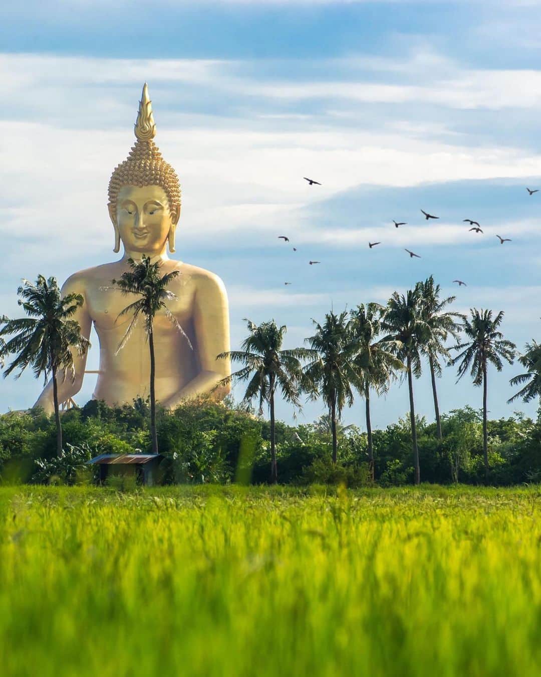 タイ国政府観光庁さんのインスタグラム写真 - (タイ国政府観光庁Instagram)「・﻿ 2020年も本日でおしまい😌﻿ ﻿ これまで経験したことのない事態に世界が直面し海外渡航が難しかった2020年でしたが、今までと変わらず、タイ国政府観光庁Instagramをご覧いただき誠にありがとうございました🙇✨﻿ ﻿ 再び多くの方にタイ旅行を楽しんでもらえることを祈りながら、2021年もタイの魅力をフォトジェニックな写真と共にお伝えしていきます☺️﻿ ﻿ 皆さま、来年もどうぞよろしくお願いします🇹🇭✨﻿ ﻿ よいお年をお迎えください🌄﻿ ﻿ 📸 @tourismthailand﻿ ﻿ #2020 #2021 #たくさんの幸運を #サワッディーピーマイ #タイ #タイ国政府観光庁 #年末 #来年もよろしくお願いします #よいお年を #年末年始 #大晦日 #タイ旅行 #旅好きな人と繋がりたい #はじめてのタイ #もっと知りタイ #こんなタイ知らなかった﻿ #thailand #endofyear #amazingthailand #thailandtravel #thailandtrip #thai #thaistagram #genic_thailand #lovethailand #sawasdeepeemai﻿」12月31日 17時21分 - amazingthailandjp