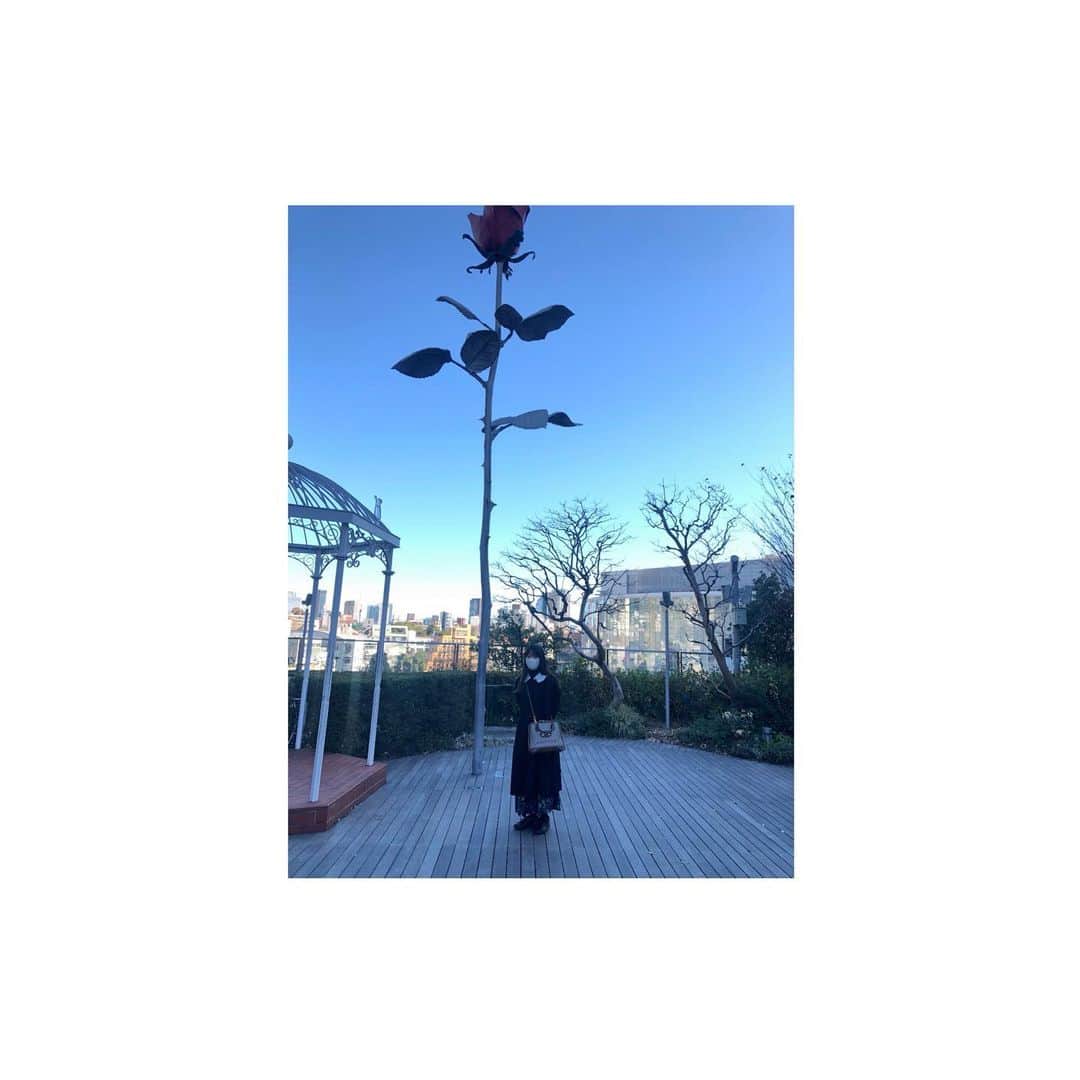 遠藤綾さんのインスタグラム写真 - (遠藤綾Instagram)「* 2020年、お疲れさまでした！」12月31日 17時59分 - e_aya217