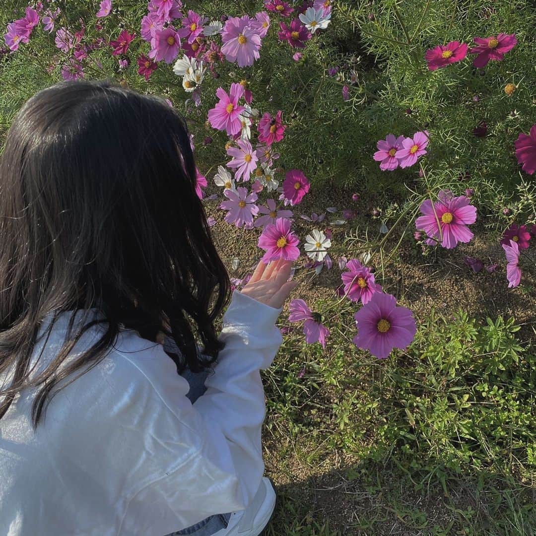 RiLiさんのインスタグラム写真 - (RiLiInstagram)「あたり一面お花畑💐【あわじ花さじき】🌱⁣ ......⁣ 兵庫・淡路島にある【あわじ花さじき】って知ってる？🌷あわじ花さじきとは、季節ごとにさまざまなお花を楽しめる、話題の絶景スポット🍃⁣ あたり一面のお花畑にきっと感動しちゃうはず☘お花畑をバックに、お友だちと写真を撮り合いっこしてみてね📸💫⁣ 公園内はなんと入場無料で楽しめるんだって🙈かわいいお花を見に、淡路島旅行に行くのもおすすめだよ🚢⁣ ❣❣❣❣❣⁣ サイトやSNSで掲載させていただくお写真募集中😘📸⁣ かわいいコーデやアイテム、注目スポットなどが撮れたら、ハッシュタグ→#rili_tokyo  を付けて投稿❗⁣ ．⁣ Special Thanks💋 Photo by⁣ @30t_m⁣ @h.a.r.u_____⁣ @maho1129_moana⁣ @yu__o21⁣ @fleurir15⁣ @vorrris⁣ @_.tyuri⁣ @kurumi_0329⁣ @729_1405⁣ .⁣ #あわじ花さじき #兵庫スポット #淡路島 #淡路島スポット #観光スポット #絶景スポット #淡路島旅行 #関西旅行 #お花畑 #rili_tokyo #おしゃれさんと繋がりたい #お洒落さんと繋がりたい #ファッション #패션스타그램 #ootd #outfit」12月31日 18時01分 - rili.tokyo