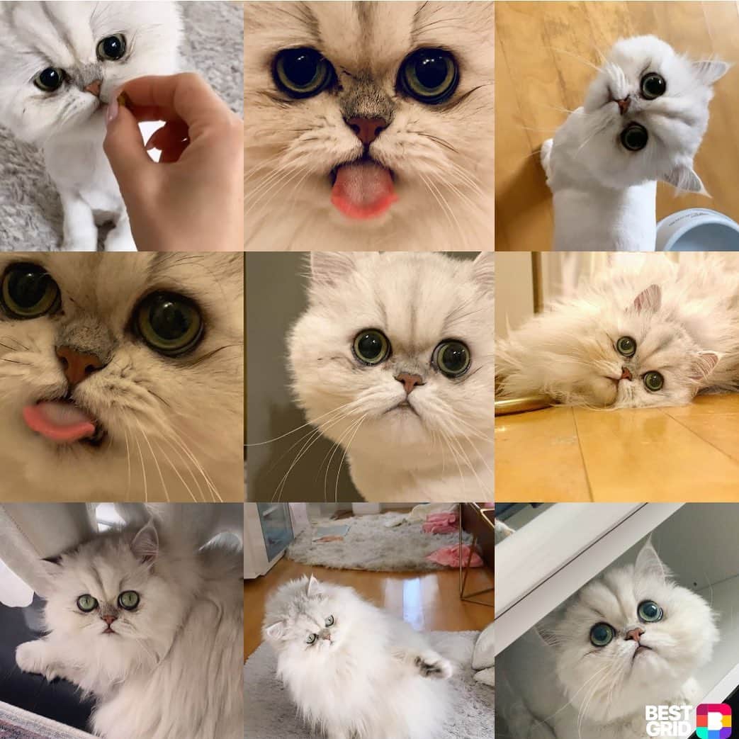 BeBeのインスタグラム：「2020年もありがとうございました💕💕🙇‍♀️また2021年もよろしくお願いします✨✨良いお年をお迎えください🎍✨Have a wonderful new year🥳🥳　#bebe #best2020 #bestnine」