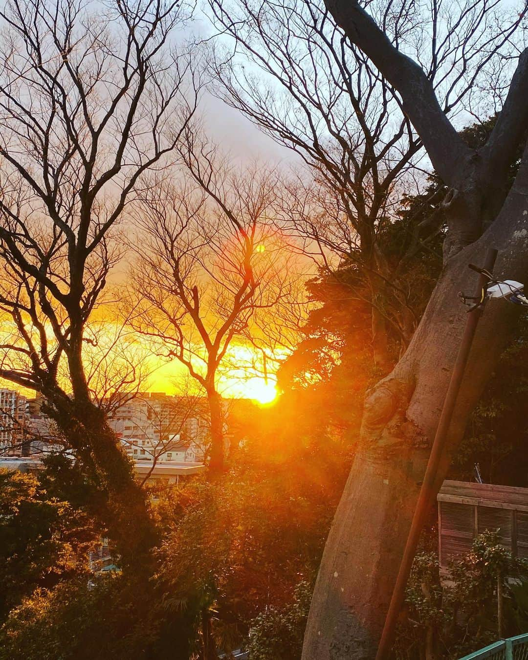 寺嶋寛大さんのインスタグラム写真 - (寺嶋寛大Instagram)「皆様今年も残すところわずかですね！ 全ての人に感謝の限りです！ ありがとうございました😊  2020年、あれよあれよと終わってしまった感じです。。。 コロナのバカやろー、、、て感じですが2020年最後のサンセットにお礼してきました！ 初日の出ならぬ終日の入とでも言っておきましょう笑  皆様、2021年は最幸の一年にしてください😌」12月31日 18時13分 - kndi1012