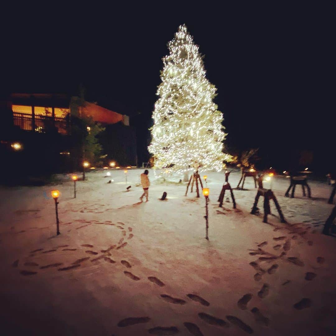 KOKIAのインスタグラム：「May the new year sparkle and shine.  Thank you and good bye 2020.」