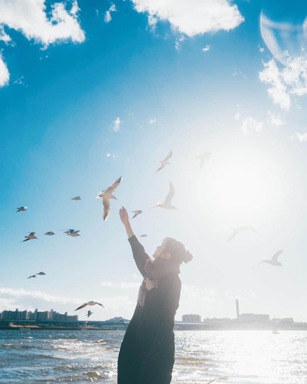 shinichi38のインスタグラム：「﻿ ﻿ Spread your wings 🕊﻿ ﻿ ﻿」