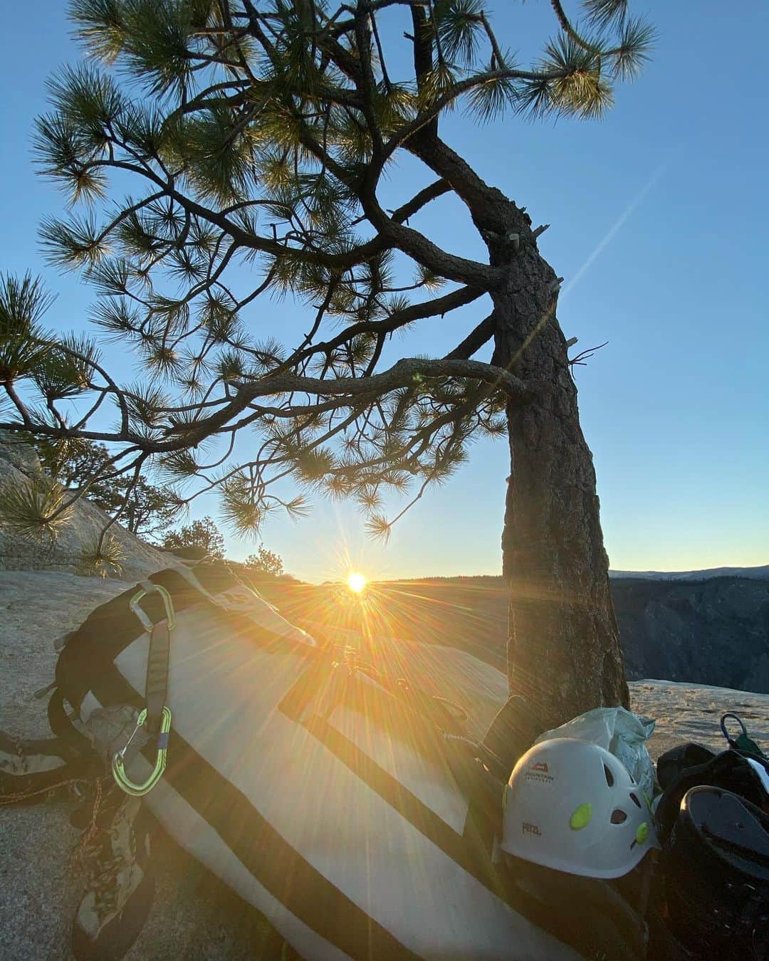 植田夢月さんのインスタグラム写真 - (植田夢月Instagram)「#tb﻿ #これでラストです﻿ ﻿ Freerider DAY6〜﻿ ﻿ 11/18。夜明け前に目が覚めた。﻿ 朝のエルキャプ頂上の光景はただただピースフルだった。空は真っ青で、白い花崗岩のスラブが一面に広がり、ポツンポツンと低いマツの木が生えている。﻿ ﻿ せっかくだから、少し登って本当の頂上に行ってみようということになった。﻿ ﻿ 平らな頂上に着くと、なんだか実感が湧いてきた。納得のいくプロセスではなかったけど、曲がりなりにも、私はエルキャプの下から上まで登ったのか…。﻿ ﻿ クライマーとしては全然未熟だし、全然満足できるレベルではない。﻿ ﻿ でも、或る一人の人生として考えてみたとき、夫と一緒に無事にエルキャプを登ることができたなんて、心からやりたかったことを少しでも実現できたなんて、私は十分幸せ者じゃないか。﻿ ﻿ 極論すれば、もしも今死んでも、私は「幸せな人生だった」と言って死ぬだろうな、と思った。﻿ ﻿ ------------------------ ﻿ 9:00頃に寝床を出発し、East Ledge（イーストレッジ）を下降。私の体調に配慮して夫が大半の荷物を持ってくれて助かったが、流石に辛そうだった。﻿ ﻿ さらに、この日は快晴でよく喉が渇き、残り僅かな水を二人でちびちびと飲みながら降りた。飲む水がないというのは恐怖だ。﻿ ﻿ 13:00頃、エルキャプメドウに停めていた車に帰還。このときの解放感と安堵感は言葉に表せない。とりあえず、水をガブガブ飲んだ。そして、エルキャプをぼーっと見上げた。﻿ ﻿ ------------------------ ﻿ 翌日、フレズノの街をブラブラしていると、増本さやかさんがFreeriderのワンプッシュオールフリーを成功させたという連絡が入ってきた。自分のことのように嬉しかった。﻿ ﻿ 一人で全ピッチを完登するために必要な体力、技術、そして重圧をはねのける強いメンタルを想像すると気が遠くなりそうだった。﻿ ﻿ 次の日、増本夫妻とメキシコ料理店で落ち合い、互いのエルキャプの思い出話に花を咲かせた。﻿ ﻿ ------------------------  ﻿ 登ってからなんと1年以上経ってしまいましたが（苦笑）、Freerider日記はこれで終わり。﻿ ﻿ ここまで読んでくださった方（いるのか…？）、本当にありがとうございます。﻿ ﻿ ﻿ 1枚目: 寝床から撮影した朝焼け﻿ 2枚目: 寝床近辺から撮影した360度パノラマ﻿ 3枚目: 本当の（？）エルキャプ頂上にて撮影﻿ 4枚目: East Ledge下降中の一コマ﻿ 5枚目: 下降路から見える景色がきれいだった。Half Domeや、AstromanがあるWashington Columnなどがよく見える。﻿ 6枚目: 下降中に撮影した谷の風景﻿ 7枚目: エルキャプメドウから撮影したエルキャプ」12月31日 18時35分 - dream_moco