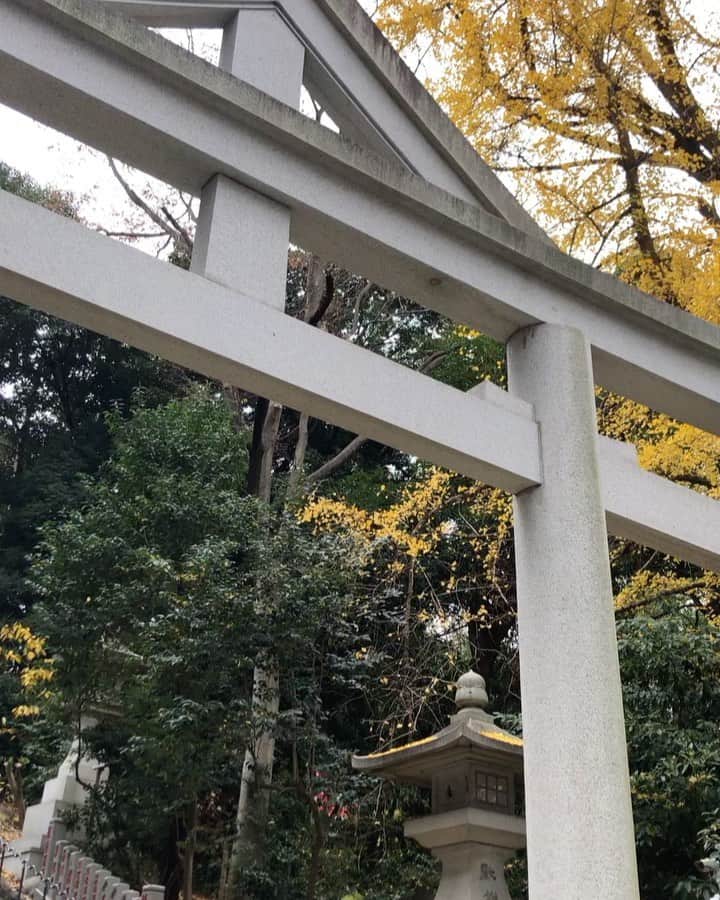 貴千碧のインスタグラム：「I know many of us had tough time this past year but I would love to thank all the people who made me feel delighted. （今年は、大変な一年となりましたが、私の心に光を与えてくれた全ての人に感謝いたします。)  I would like to thank you for everything.  Thank you so much for a wonderful year.  . .  #2020  #大晦日#年の終わり #激動の一年　#人との繋がり#本当に必要なもの#大切なもの#再確認出来た一年　 良くも悪くも「変わらない」ということはありえない。 どんな変化であってもしっかり#受け止め　#順応　していくことを学んだ　そんな年でした。 関わって下さった全ての皆様、本当にありがとうございました☺️🙏 #2021 年も#どうぞ宜しくお願い致します　⛄️✨✨ #世界　に#平和　が戻ることを#切に願って」