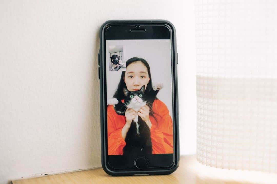 赤坂由梨のインスタグラム：「ㅤㅤㅤ ㅤㅤㅤ 2020年、今年もたくさんお世話になりました！ㅤㅤㅤ 来年もどうぞよろしくお願い致します！ㅤㅤㅤ  締めくくりは今年らしい写真たちで🐈ㅤㅤㅤ  皆様、良いお年をお迎えください💐ㅤㅤㅤ ㅤㅤㅤ #thankyou2020」