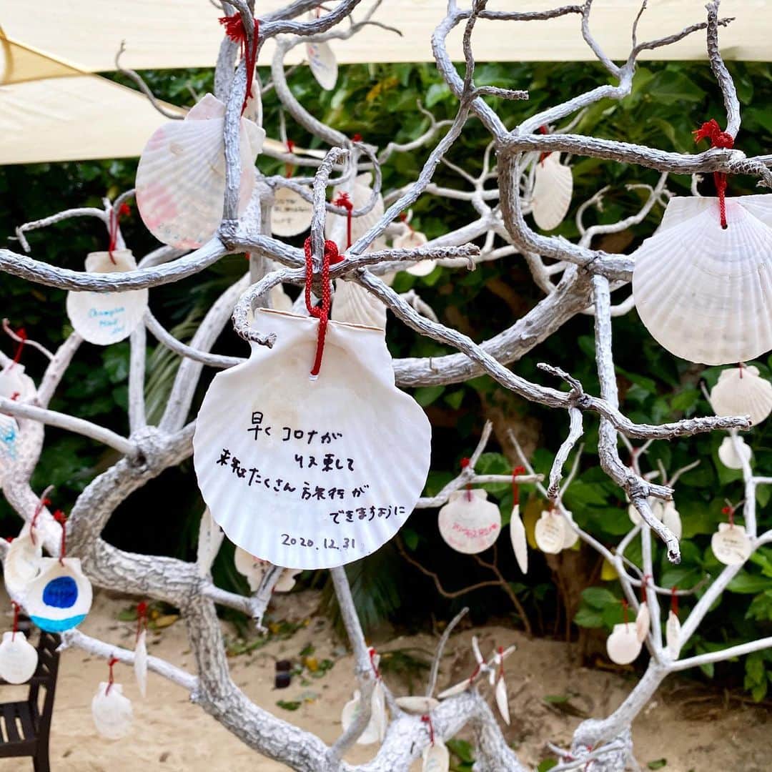 【公式】星野リゾート　リゾナーレさんのインスタグラム写真 - (【公式】星野リゾート　リゾナーレInstagram)「リゾナーレ小浜島では年末年始のビーチでのイベントとして「Sea shell wish」を開催しています。貝殻に来年の抱負などを書き込んで願いの木にかけるイベントです。今年は皆様どんな1年になりましたでしょうか。皆様にとって来年は素敵な1年になりますように。よいお年をお迎えください。#星野リゾートリゾナーレ小浜島  #リゾナーレ小浜島 #沖縄県 #小浜島 #旅行 #グランドオープン “ビーチ #冬 #国内旅行 #女子旅 #大人の休日 #ビーチ #オンライン旅行 #おうちで旅体験 #旅行気分 #女子旅 #大人の休日 #記念日旅行 #hoshinoresorts #hoshinoresortsrisonare #hoshinoresortsrisonarekohamajima #risonarekohamajima #okinawa #travel #japan #onlinetravel #travelmood #grandopening #resorthotel #Seashellwish」12月31日 19時10分 - hoshinoresorts.risonare
