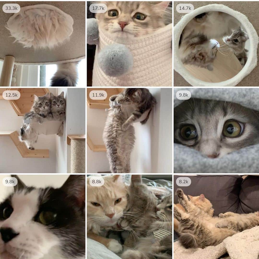 nocoaのインスタグラム