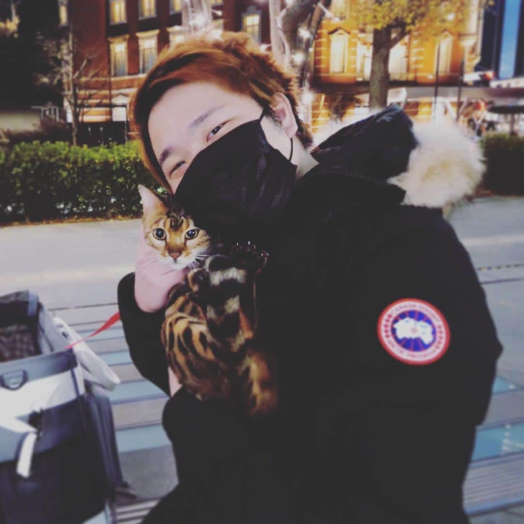トミックのインスタグラム：「2020年もありがとうございました😭  来年で自分YouTube始めて10周年です！！  ここまで来れたのはみんなと支えてくれた人たちのおかげです🐈🐈  来年もよろしくお願いします🤲  ちなみにこれはロゼと丸の内散歩の動画で使わなかったシーンをスクショしました😎  #トミスタj  #トミック　#YouTuber  #ロゼ　#猫　#ベンガル #丸の内散歩 #なんかオシャレ風なの草」